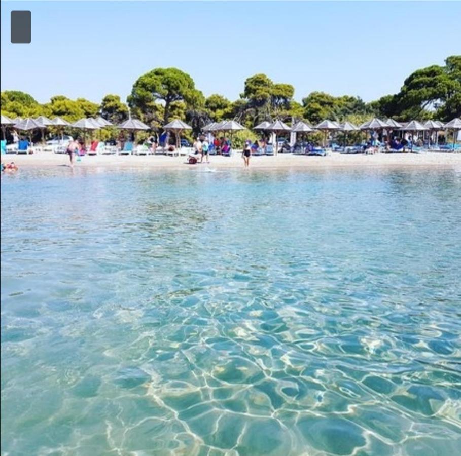 Athens Villa Artemis Pool Sea Airport Exterior photo